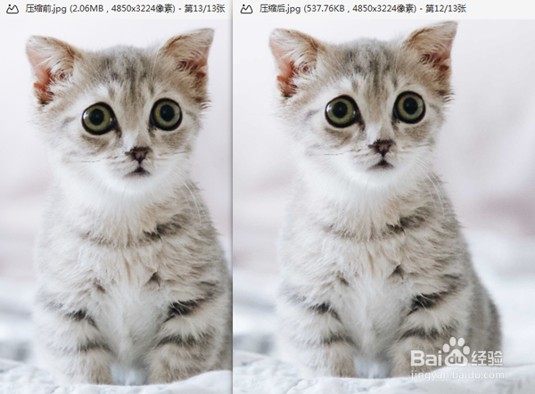 怎么使用压缩图网站调整图片大小？