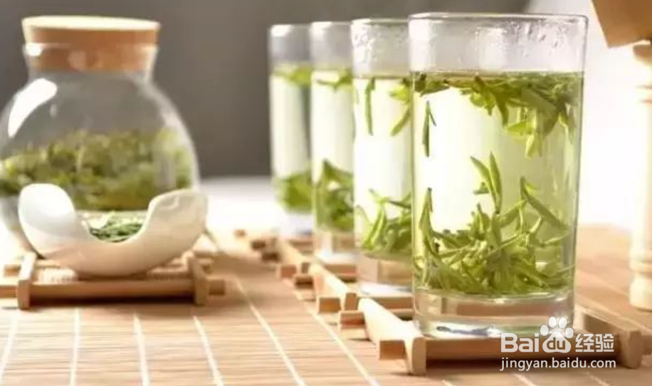 天目湖白茶怎么冲泡