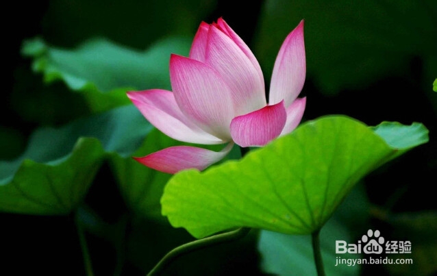 如何提高个人素质