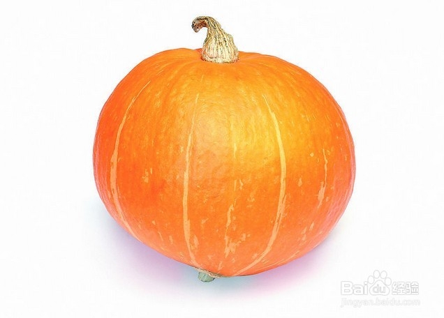 夏季有哪些时令蔬菜