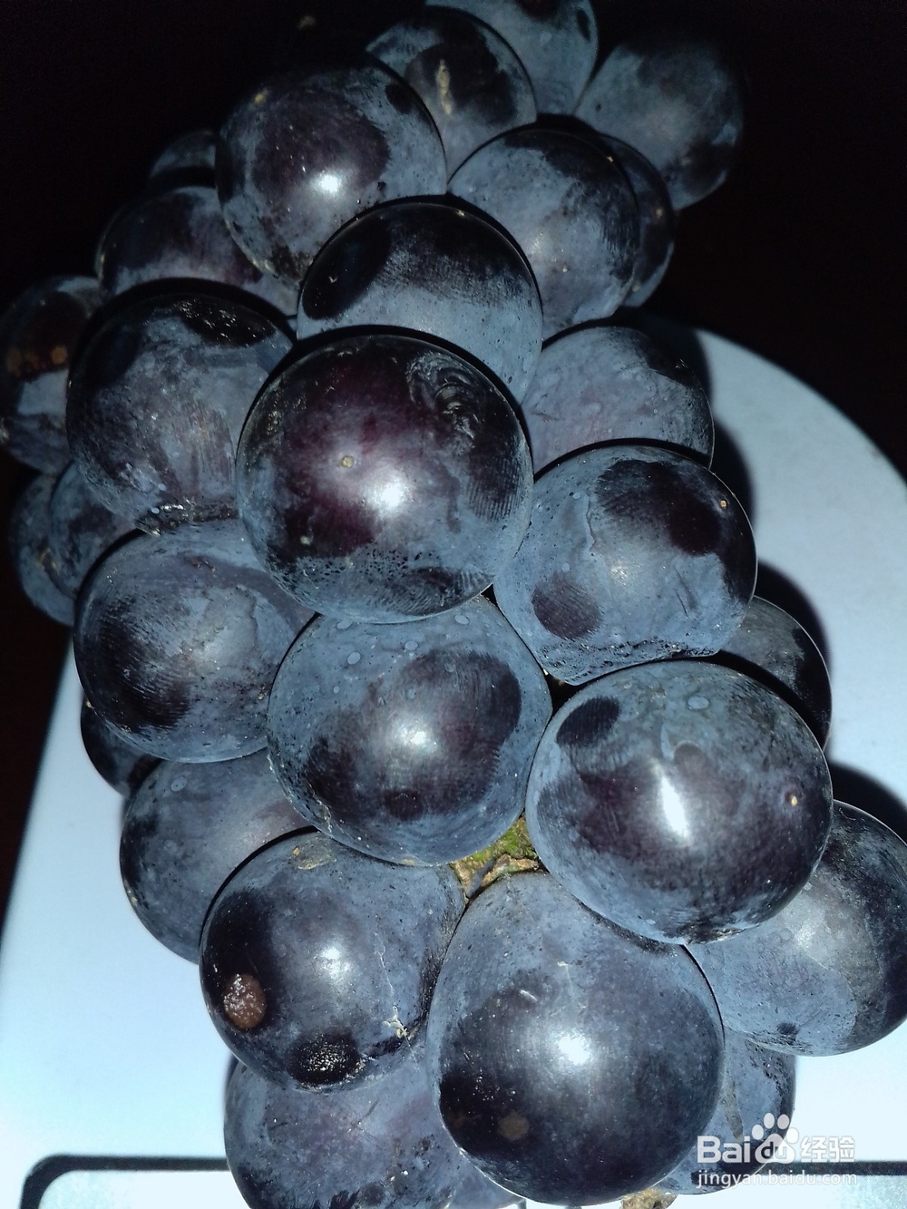 葡萄与提子的区别