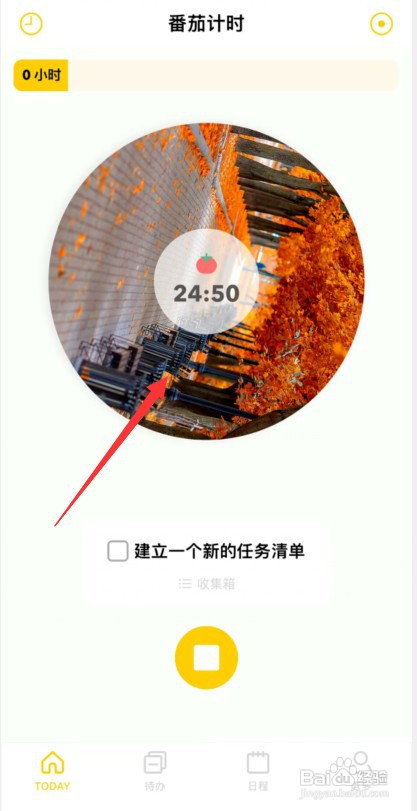 怎样更改布谷番茄app背景音乐