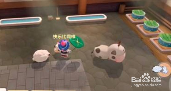 摩尔庄园手游如何完成收集羊毛任务