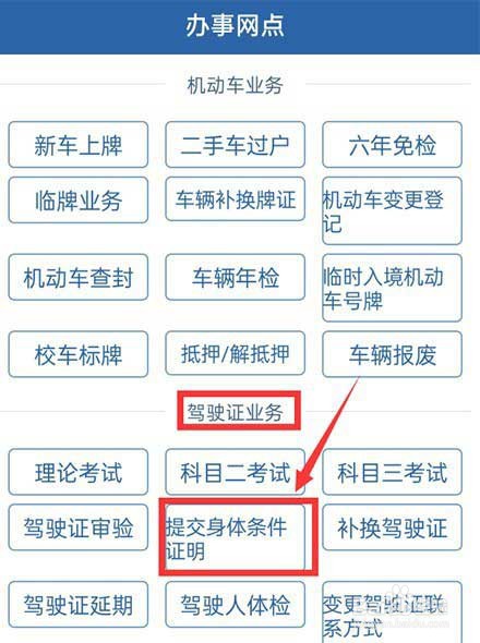 12123如何提交体检信息