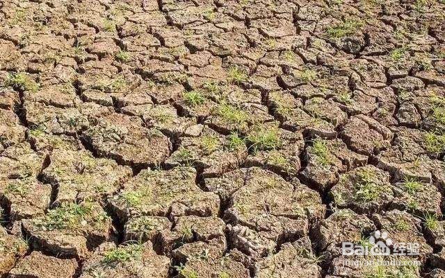 黄腐酸钾好用吗？黄腐酸钾防治土壤质地问题