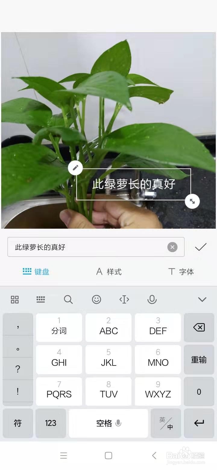 手机照片如何添加文字