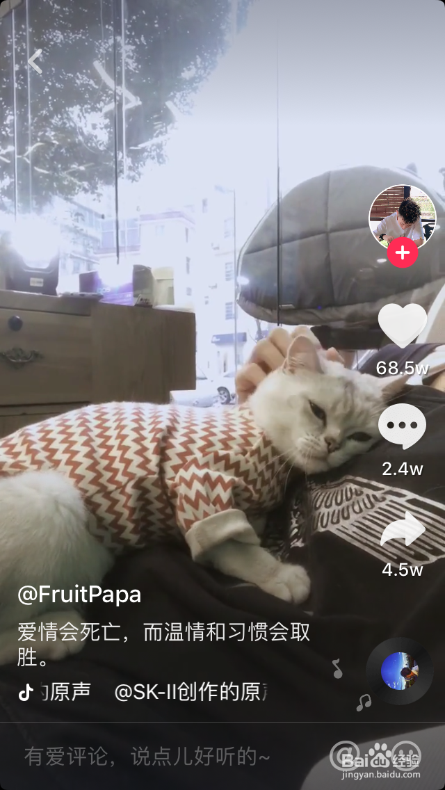 抖音十大神曲最火的音乐_点赞增粉秘诀方法