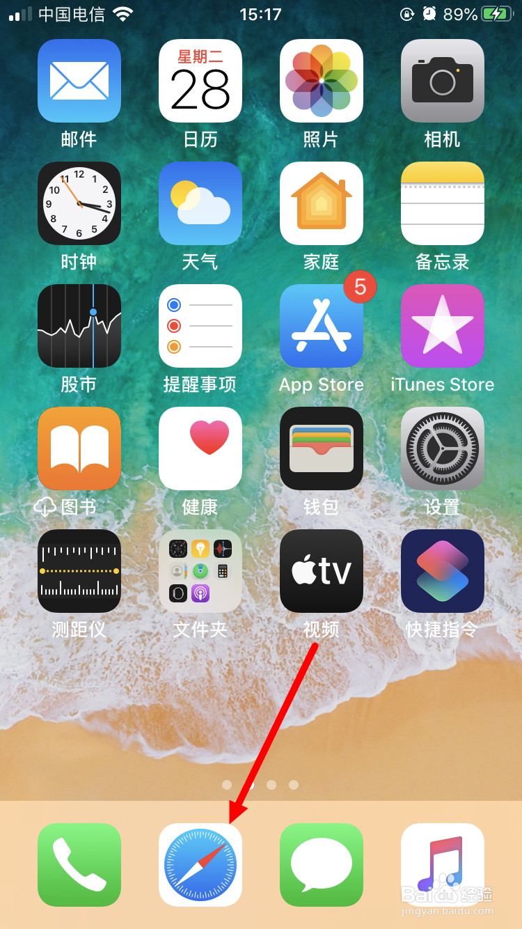 苹果手机如何删除safari浏览器的浏览记录