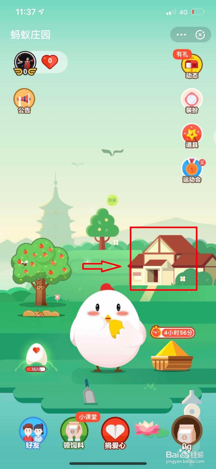 支付宝蚂蚁庄园如何捐献爱心和查看捐献记录?