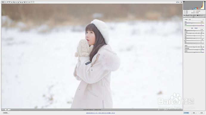 如何用PS给照片添加漫天雪花的效果