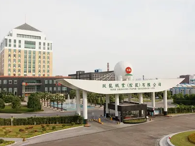 中国纸业四大巨头是什么