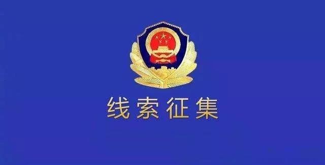 线索的分类(6个)