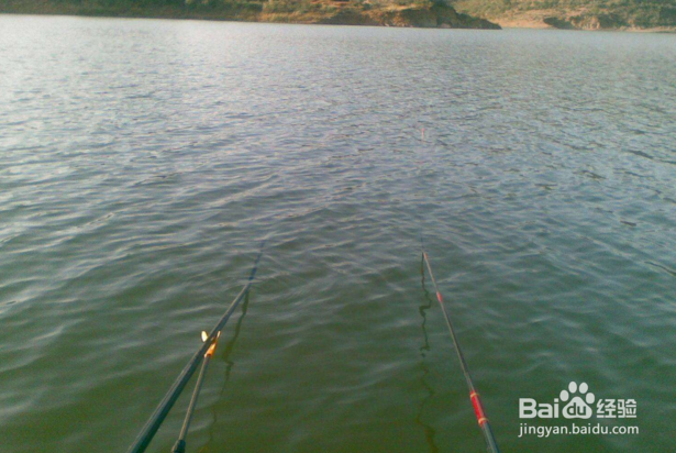 钓鱼有哪些忌讳？钓鱼人最恨什么？