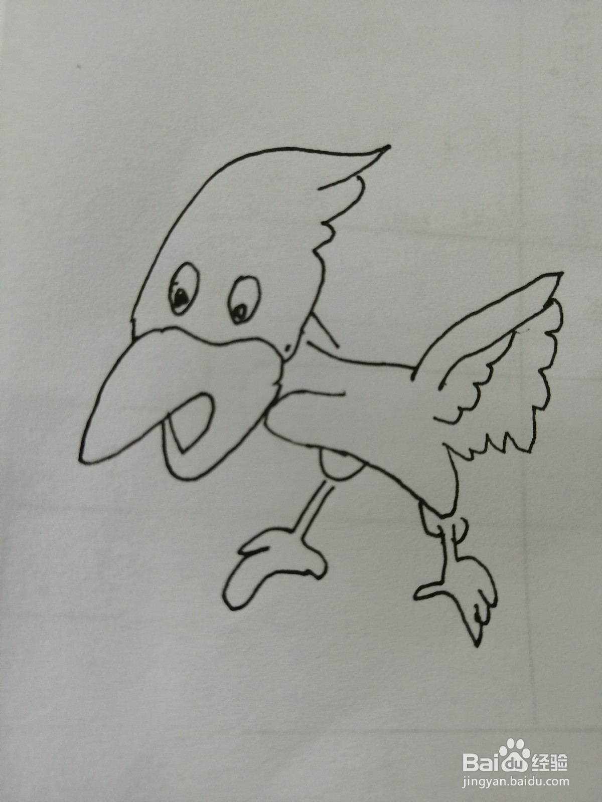可爱的小乌鸦怎么画