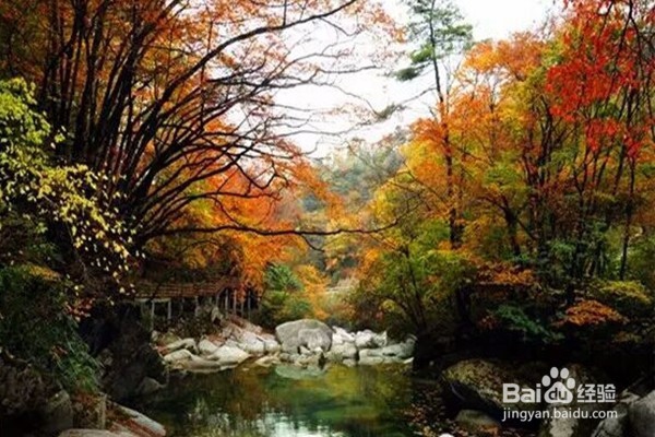 光雾山旅游攻略