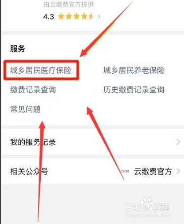 福州医保怎么在手机上缴费