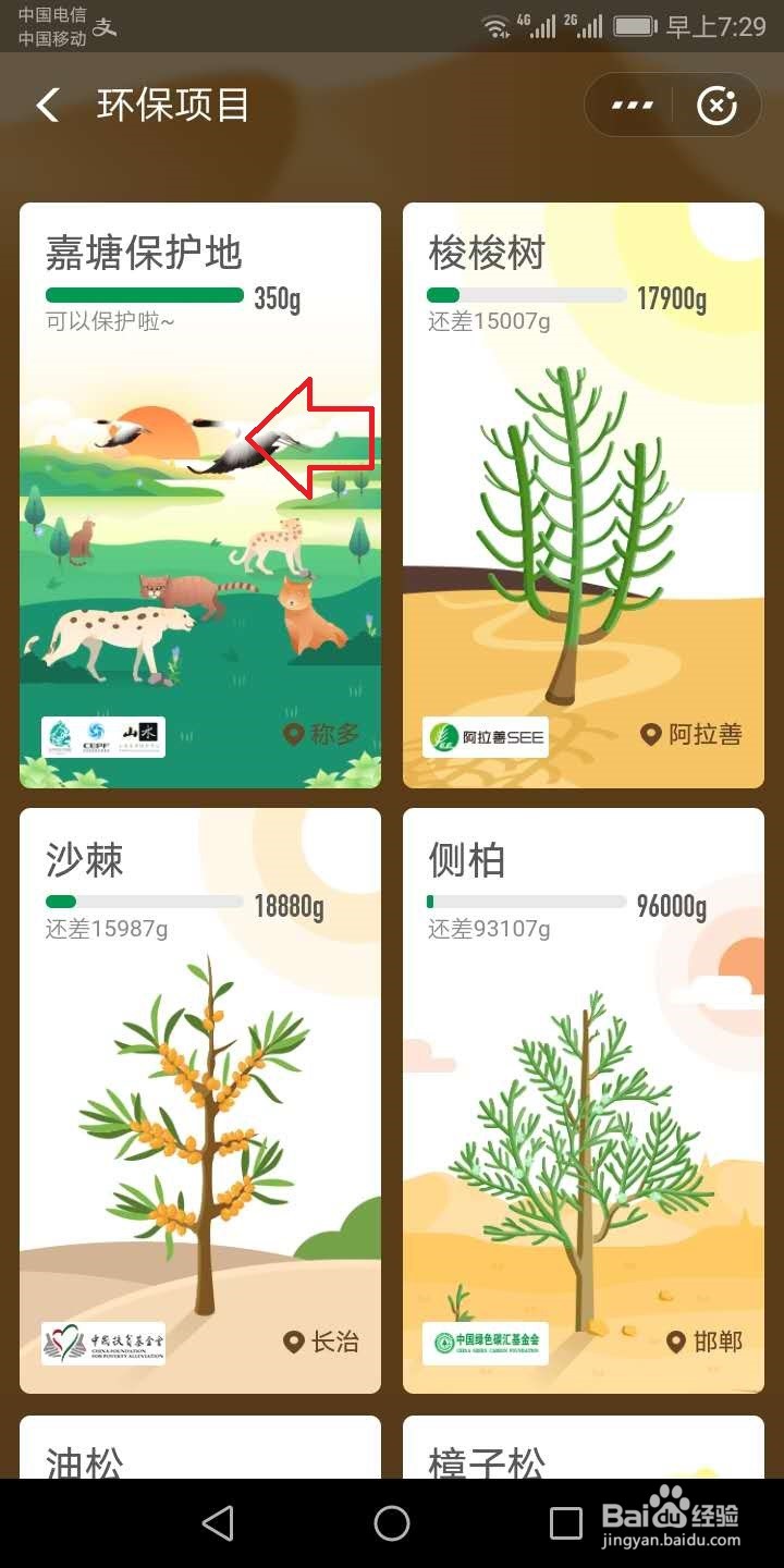 蚂蚁森林怎么申请动物保护地