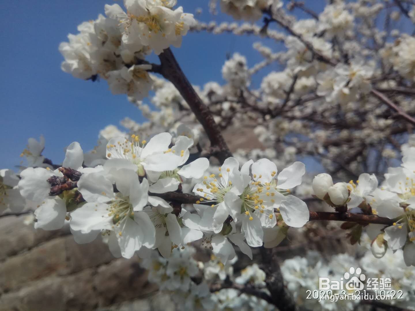 绿色旅游地推荐