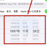 出生日期无效无法创建id