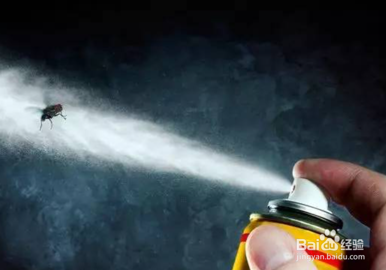 遇到蟑螂应该怎么处理
