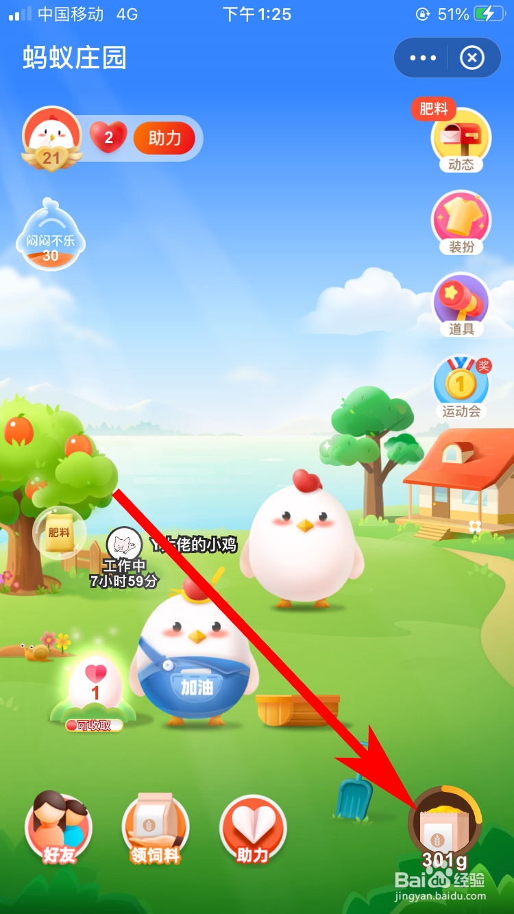 支付宝怎么进入蚂蚁庄园喂养小鸡
