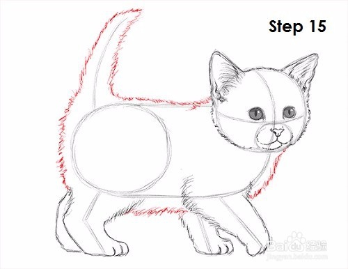 如何画一只小猫——加菲的吃货生活