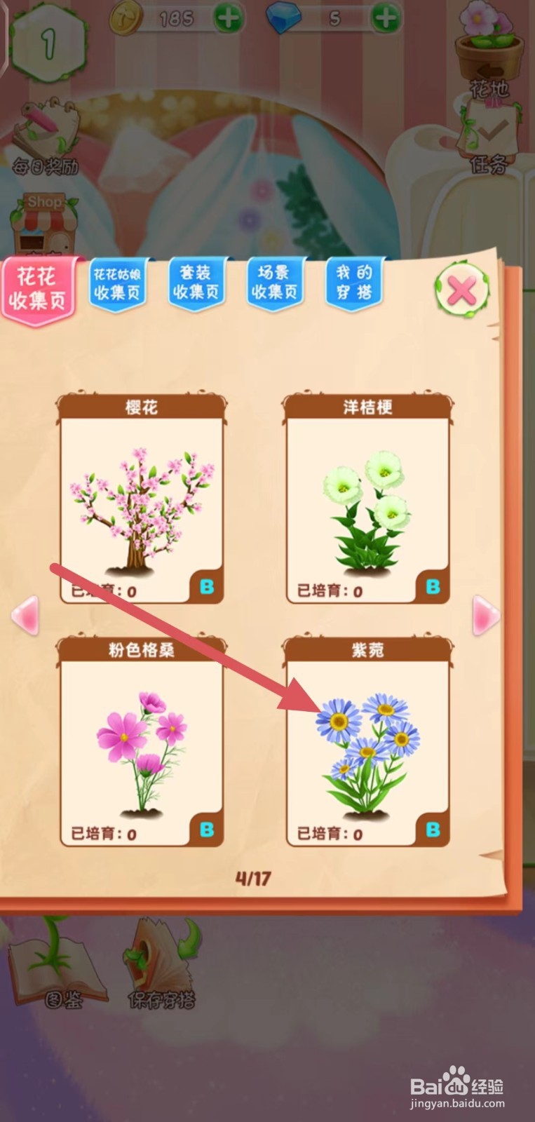 花花姑娘之魔法花园怎么查看紫苑的稀有度