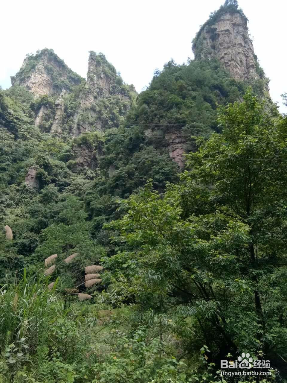 槟榔谷与驻马溪一日游