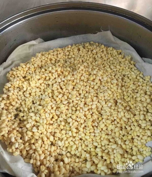莲蓉绿豆糕的做法