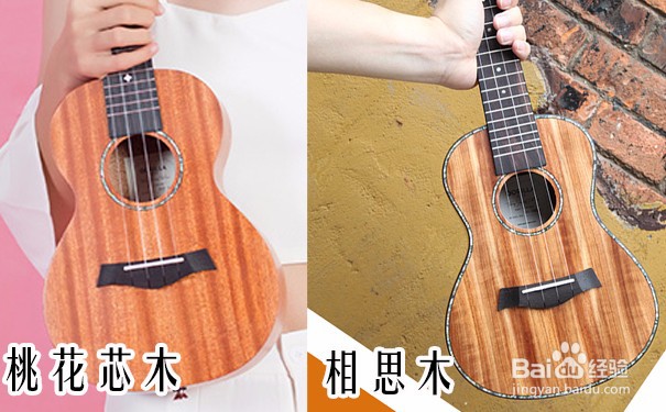 新手如何选购尤克里里