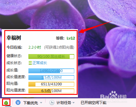 迅雷幸福树如何快速获得阳光值