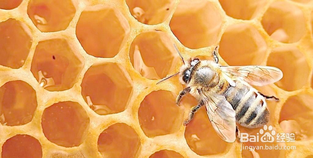 去除青春痘面膜2