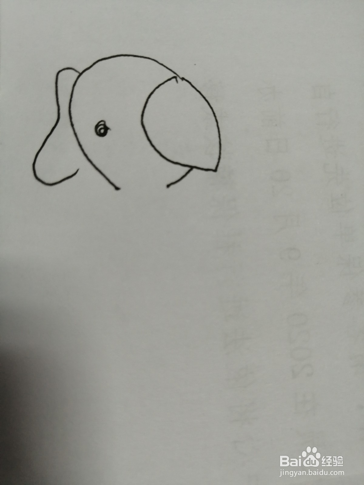 简笔画大象怎么画