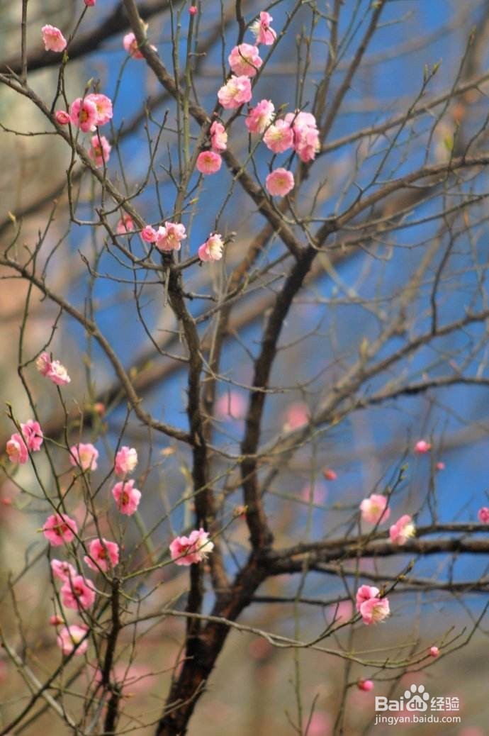 春季生活小贴士