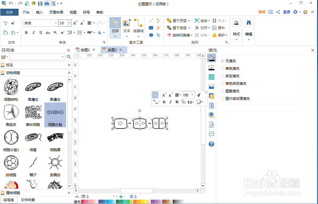 怎样在亿图图示中创建细胞分裂图