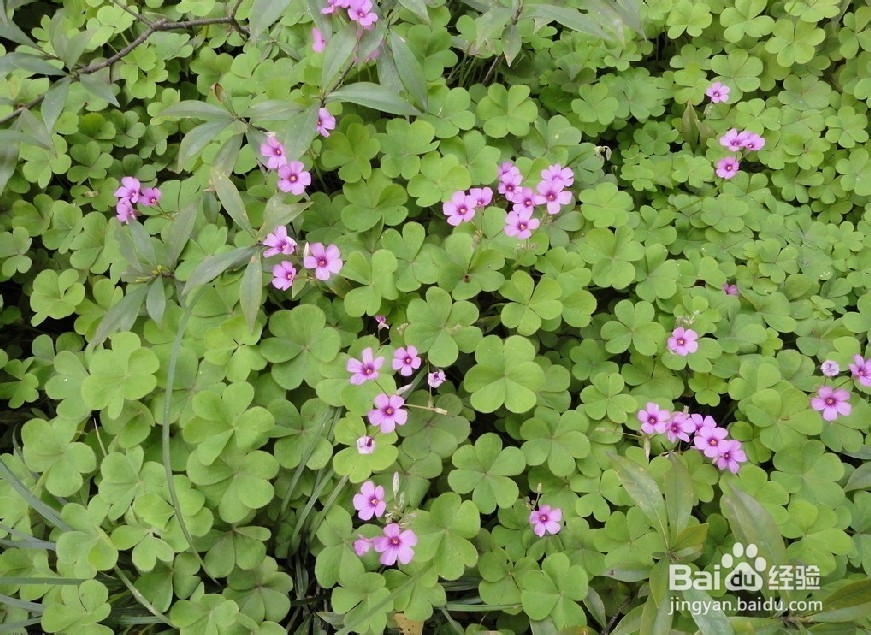 年轻人需做的10件事