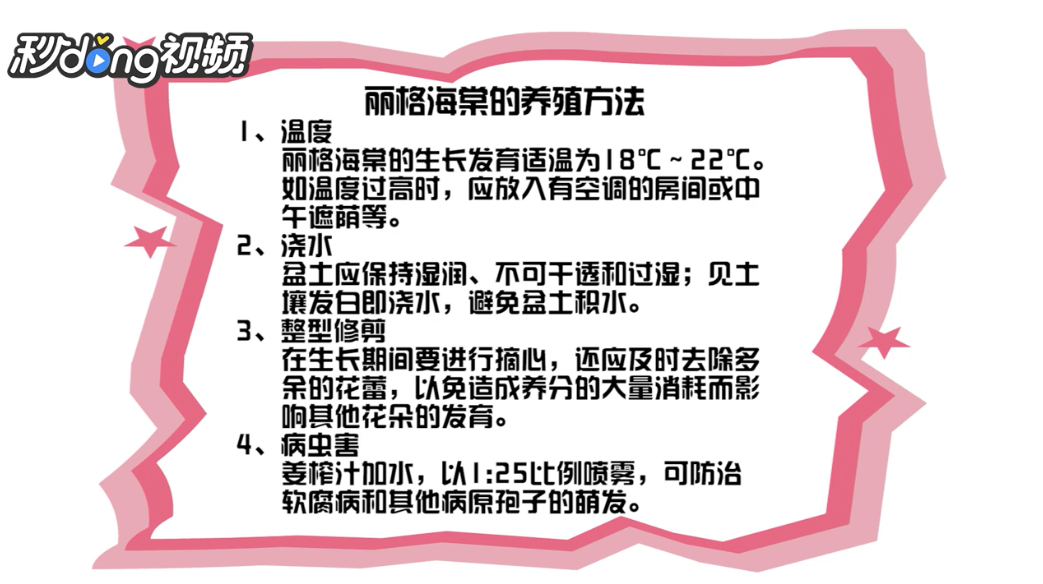 丽格海棠的养殖方法