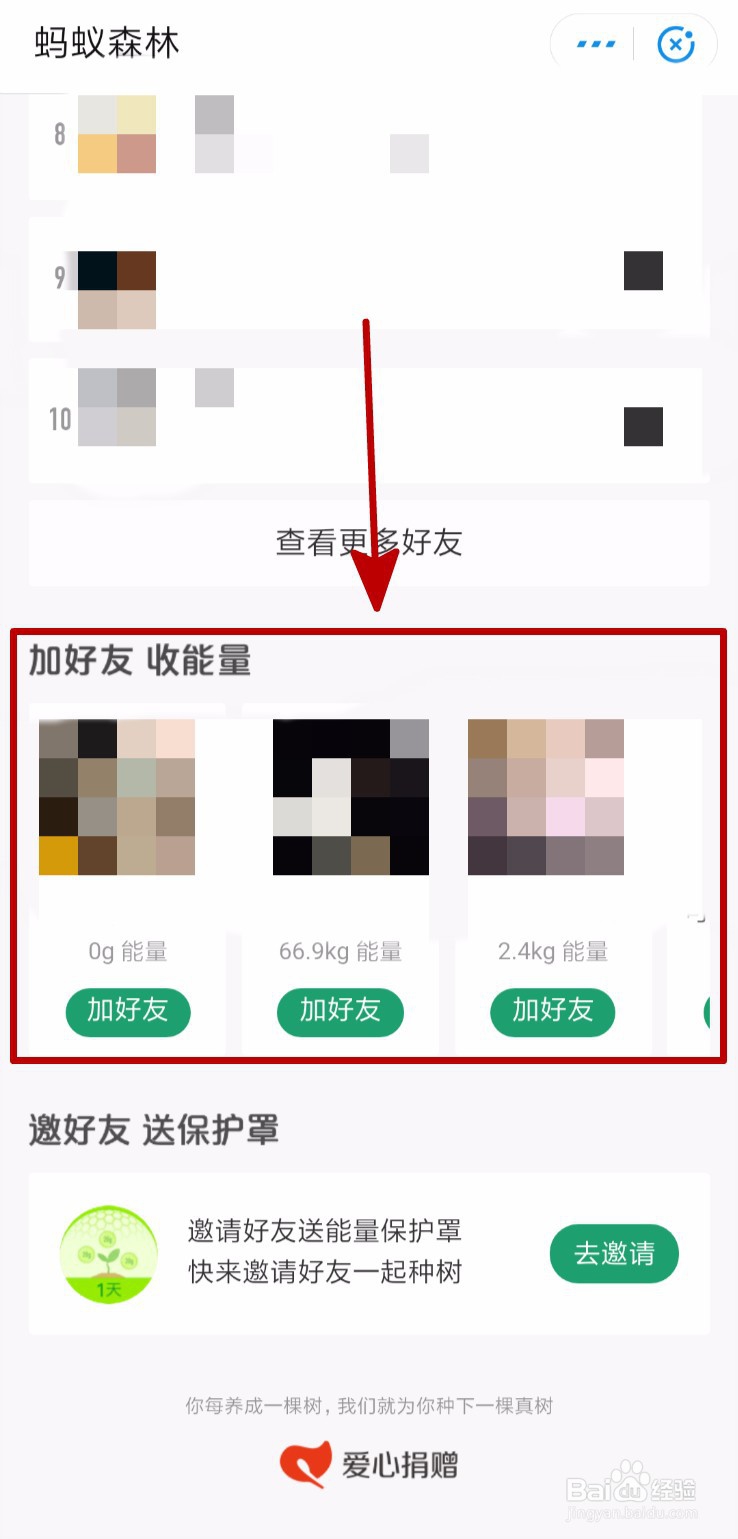 蚂蚁森林9.7kg攻略