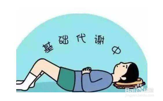关于新陈代谢有哪些误解