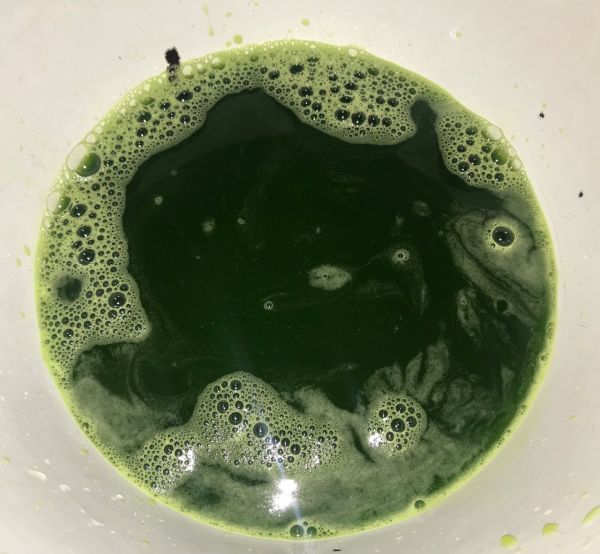 香兰椰汁千层糕