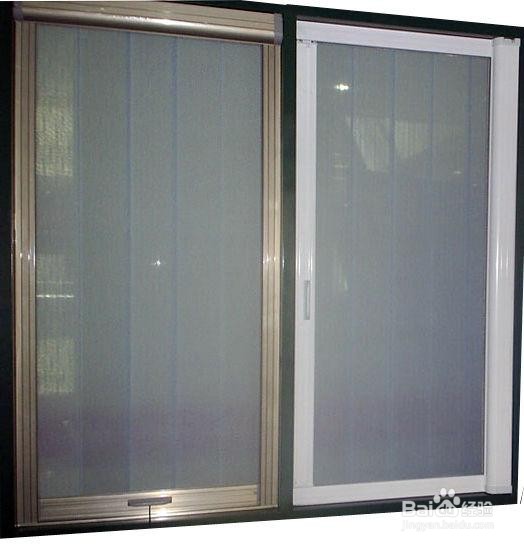 家里有发现有步行虫怎么消灭？