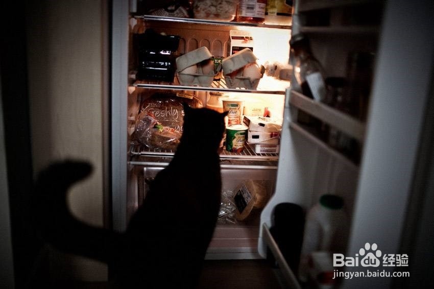 你的减肥为什么总会失败