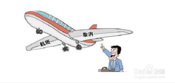 航班取消保险怎么退