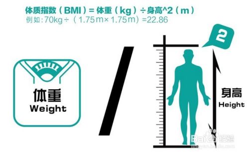 减肥时，体脂秤测量出来的数据我们需关注哪几个