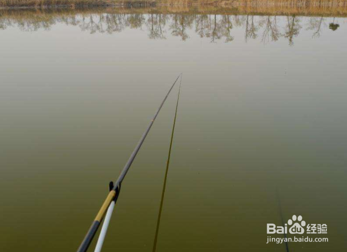 初冬不好钓鱼怎么办？冬天怎样增加鱼获