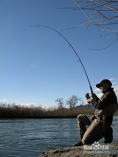 垂钓的方法有哪些？