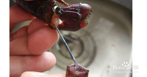 正宗油焖大虾做法教程大全