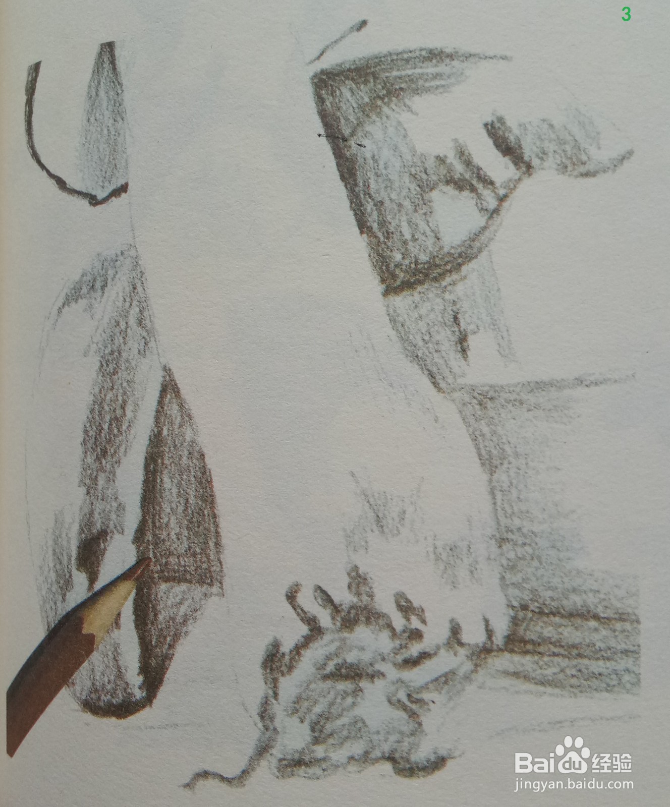 色铅笔绘制蘑菇