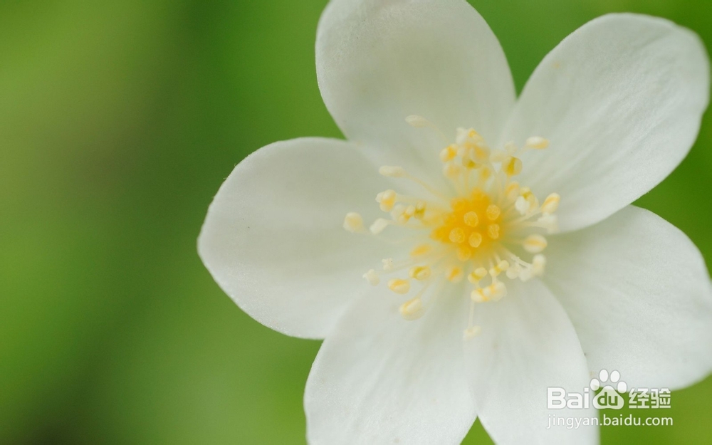 如何预防日光性皮炎