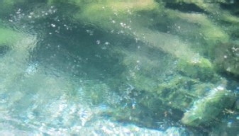 森林旅游遇到火灾怎么办
